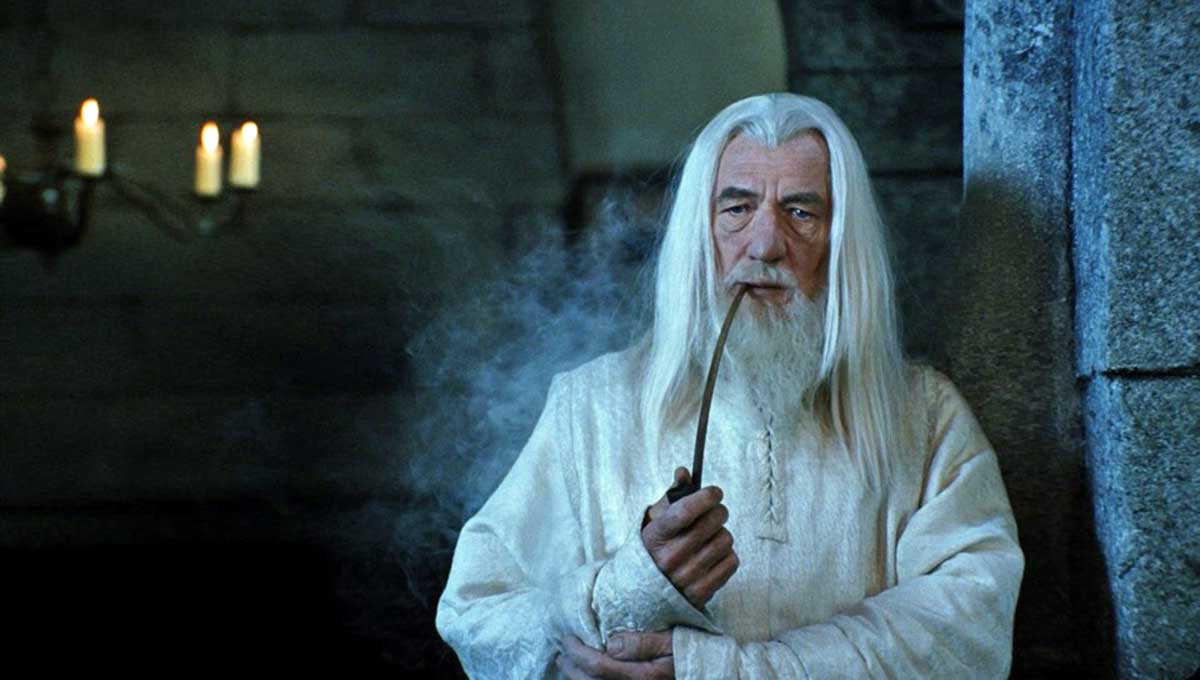 gandalf-the-white-arrested-for-life-insurance-fraud