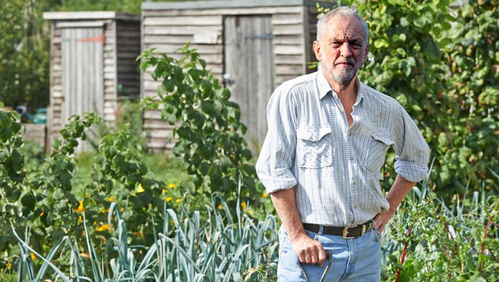 Corbyn in alottment