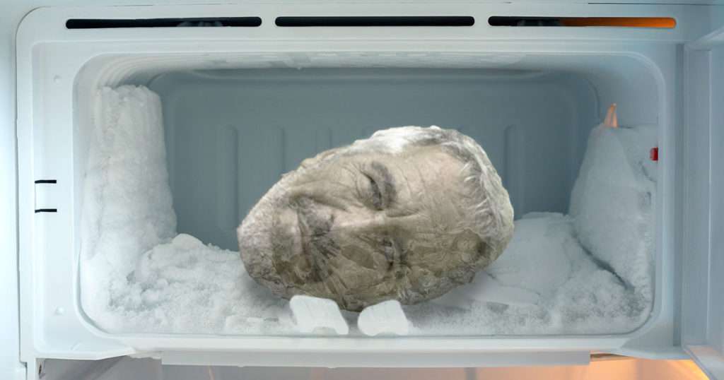 epstein head freezer