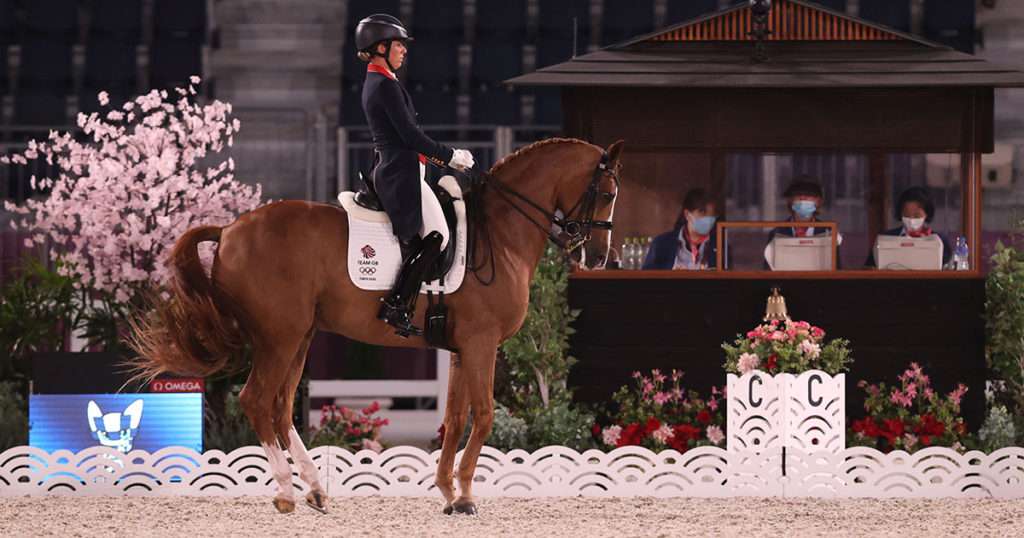 dressage horse team GB