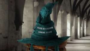 Reform Hogwarts Hat