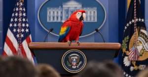 Parrot is new White House press secretary
